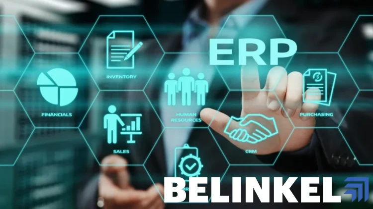 نظام erp المحاسبي