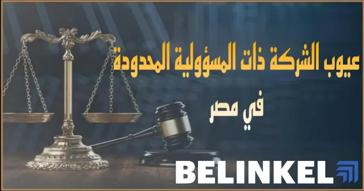 عيوب الشركة ذات المسؤولية المحدودة في مصر